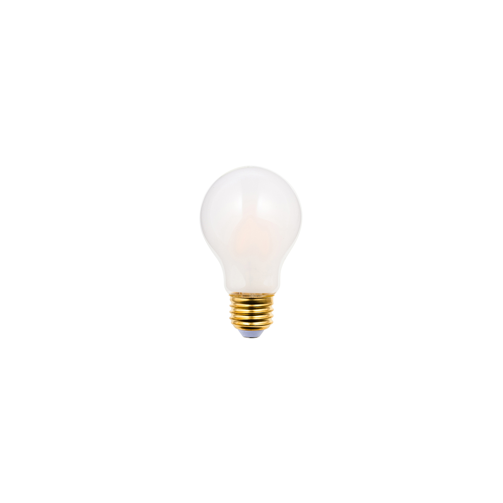 LED BULB 2700 FROST エジスワン（A型）